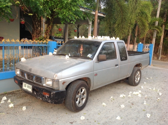 นิสสันบิ๊กเอ็มแค๊ป ปี 1995