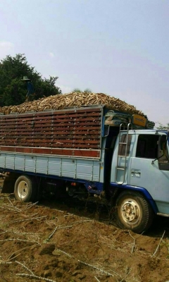 ขายรถ6ล้อบรรทุก ร็อกกี้165แรง ยาว5.20เมตร แคชซีสวย ยาง900ขอบ20 รถสวยสภาพดี เอกสารพร้อมโอน สนใจโทร 090-8588220คุณนะ 093-3258446คุณบิว หรือเข้าดูสินค้าอื่นๆได้ที่ www.truck.in.th/498 หรือเพจFacebook ณรงค์ ซื้อขายรถมือสอง (เว็บไซต์ส่วนตัว) หรือFacebook คุณนะ