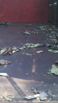 ขายรถบรรทุกหกล้อไม่ดัมพ์ ISUZU rocky เครื่อง 160 แรง ปี 39 ยาง 9.00 กระบะไม่ดัมพ์ช่วงยาว 5 เมตร ทะเบียนพร้อม ขายรถบรรทุกหกล้อไม่ดัมพ์ ISUZU rocky เครื่อง 160 แรง ปี 39 ยาง 9.00 กระบะไม่ดัมพ์ช่วงยาว 5 เมตร ทะเบียนพร้อม