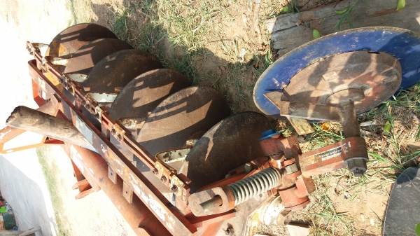 หางหกใบ26cmtสภาพเดิมสวย