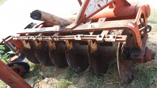 หางหกใบ26cmtสภาพเดิมสวย