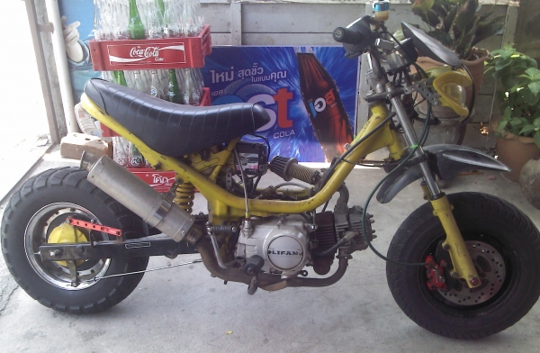 ชิ้ปปี้ราคาถูก