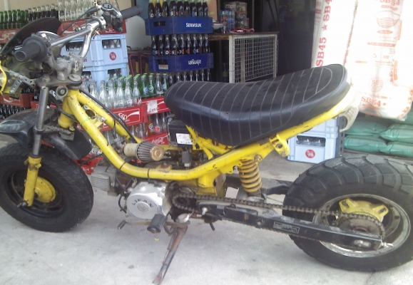 ชิ้ปปี้ราคาถูก ชิ้ปปี้ราคาถูก