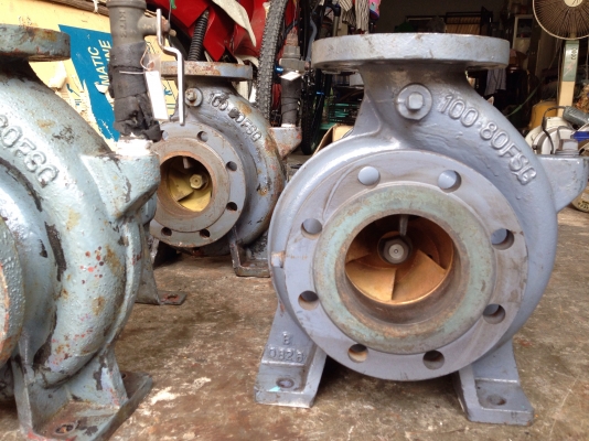 ( เหลือ 1 ตัวครับ )ขายหัวปั้มน้ำหอยโข่ง Ebara ใบพัดทองเหลือง ขนาดเข้า 4นิ้ว ออก 3นิ้ว สภาพสวยเดิมๆ ใช้งานมาน้อย หมุนนิ่ม พร้อมใช้งาน มี 5ตัวครับ ( เหลือ 1 ตัวครับ )ขายหัวปั้มน้ำหอยโข่ง Ebara ใบพัดทองเหลือง ขนาดเข้า 4นิ้ว ออก 3นิ้ว สภาพสวยเดิมๆ ใช้งานมาน้อย หมุนนิ่ม พร้อมใช้งาน มี 5ตัวครับ