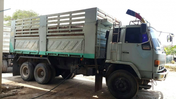 นางฟ้า240แรงม้าเฉพาะตัวแม่มีระบบลากราคา1,000,000ติดต่อสุขุมตรัง0872836792