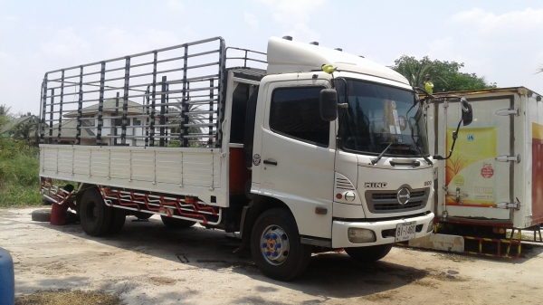 หกล้อ ฮีโน่ ซีรี่500 FC91J145ปี51ช่วงยาว5.50ม สภาพดีสวยเดิมๆไม่มีชน ทะเบียนพร้อมโอน หกล้อ ฮีโน่ ซีรี่500 FC91J145ปี51ช่วงยาว5.50ม สภาพดีสวยเดิมๆไม่มีชน ทะเบียนพร้อมโอน