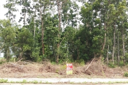 ที่ดินสวยๆ แถวโพรงอากาศ อ.บางน้ำเปรี้ยว จ.ฉะเชิงเทรา