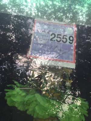 10 ล้อตู้เปียก 220 แรง HINO FL1JNLA รถปี 2549 ไมล์ 6 แสนกว่าโล เล่มทะเบียนพร้อม มีประกันชั้น 1 รถสวย