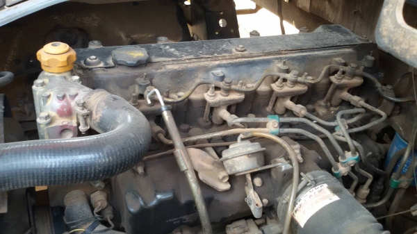 หกล้อ อีซูซุ NPR120ช่วงยาว4.30ม รถห้างแท้ หลังคาโดยสาร สภาพดีพร้อมใช้งาน ทะเบียนเอกสารพร้อมโอน หกล้อ อีซูซุ NPR120ช่วงยาว4.30ม รถห้างแท้ หลังคาโดยสาร สภาพดีพร้อมใช้งาน ทะเบียนเอกสารพร้อมโอน