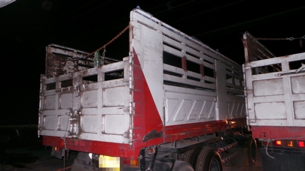 ISUZU FXZ320 ปี 50 พร้อมหางพ่วง สองคาน พร้อมขายค่ะ ISUZU FXZ320 ปี 50 พร้อมหางพ่วง สองคาน พร้อมขายค่ะ