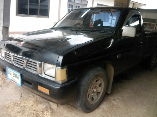 ขายบิ๊กเอ็ม ฝาแดงพันธ์แกร่ง