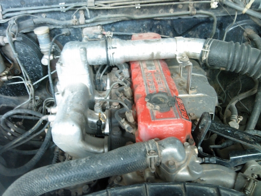 ขายบิ๊กเอ็ม ฝาแดงพันธ์แกร่ง ขายบิ๊กเอ็ม ฝาแดงพันธ์แกร่ง