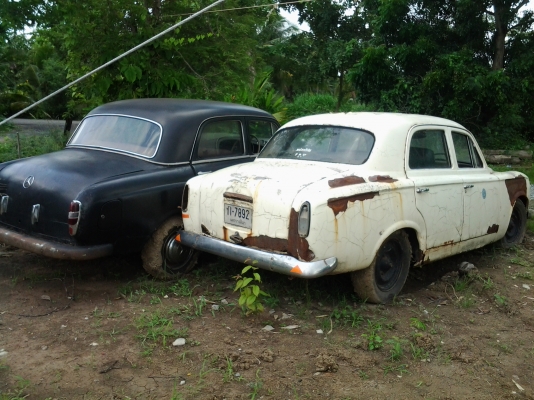 ขายเปอร์โย 403 ขายเปอร์โย 403