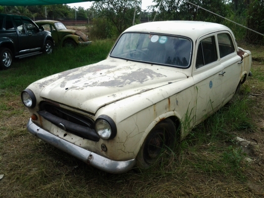 ขายเปอร์โย 403 ขายเปอร์โย 403