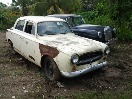 ขายเปอร์โย  403