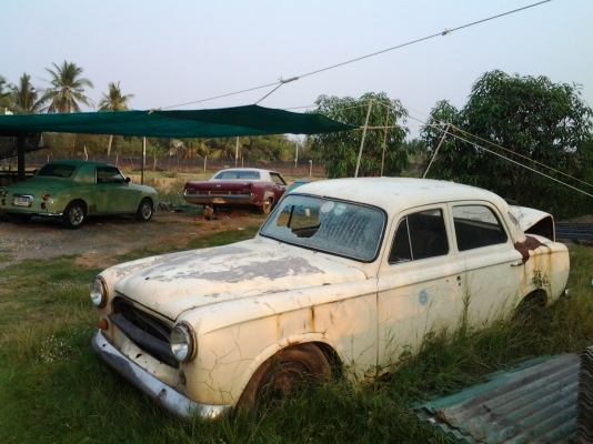 ขายเปอร์โย 403 ขายเปอร์โย 403