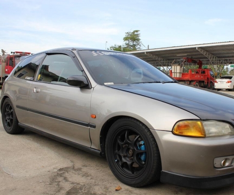 ขายสามดอ สวยๆๆๆ