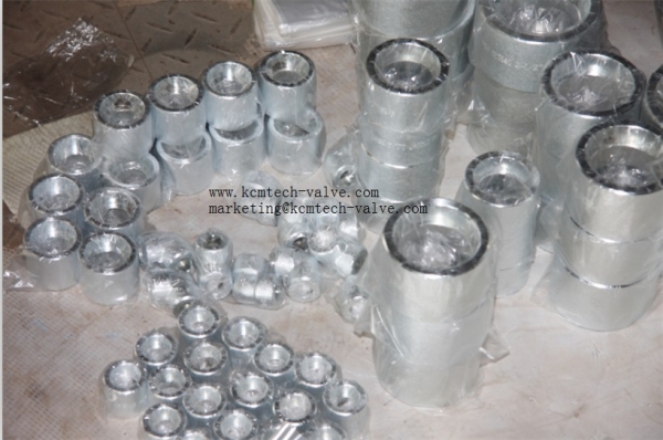 ปลั๊กอุดสตีมเกลียว ( PLUG)