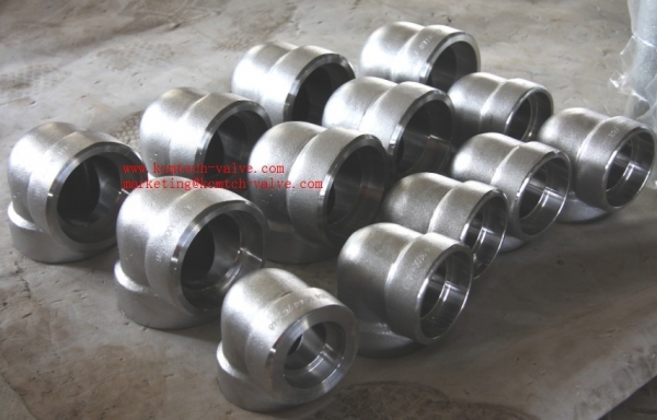 ปลั๊กอุดสตีมเกลียว ( PLUG)