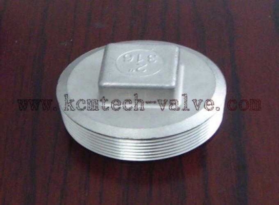 ปลั๊กอุดประปา