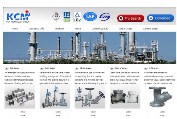 quick coupler quick coupler