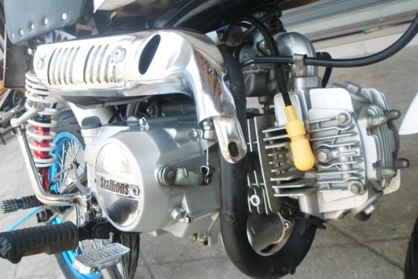 ขายMINI 125CCมีทะเบียนโอนได้ปี54ภาษีไม่ขาด  สภาพเครื่องเดิมเดิมแต่งแต่ภายนอกครับ สนใจสอบถามกันเลยคร๊าบ รับจัดส่งทั่วประเทศนะครับ