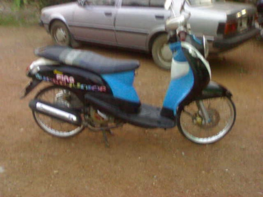 ฟีโน่ปี51