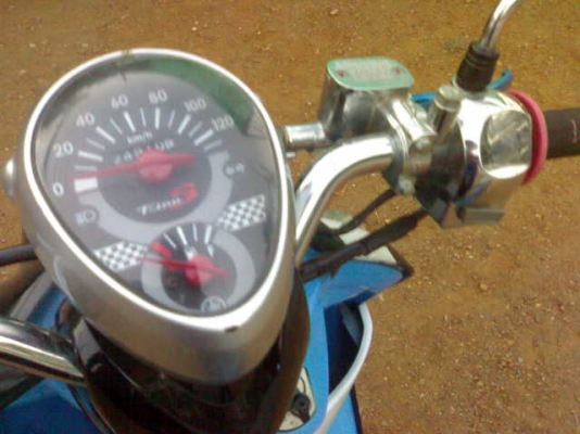 ฟีโน่ปี51