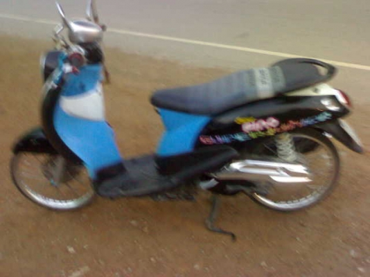 ฟีโน่ปี51