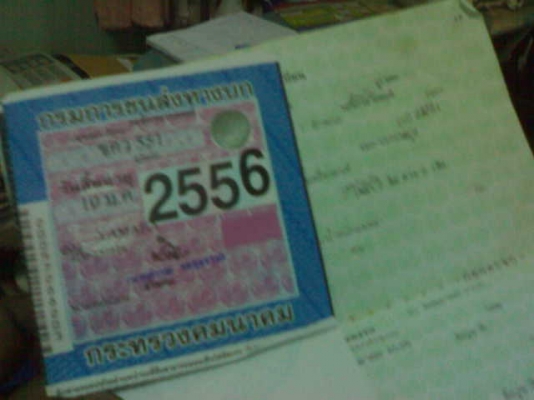 ฟีโน่ปี51