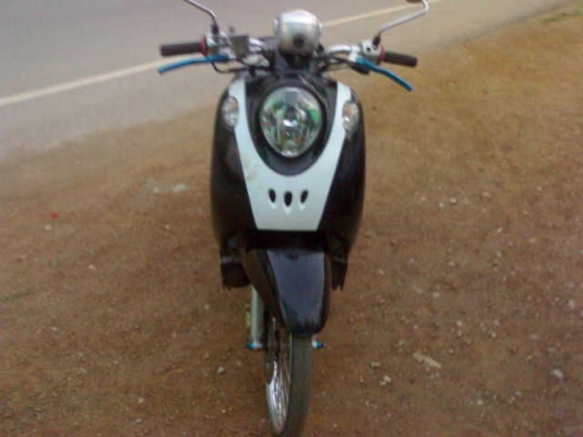 ฟีโน่ปี51