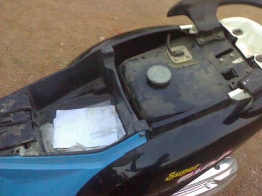 ฟีโน่ปี51