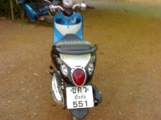 ฟีโน่ปี51