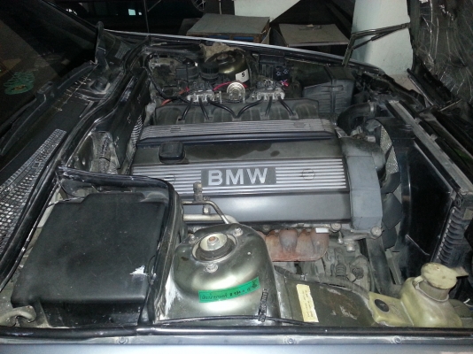 ******BMW 525i******