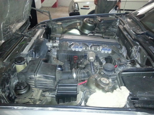 ******BMW 525i******