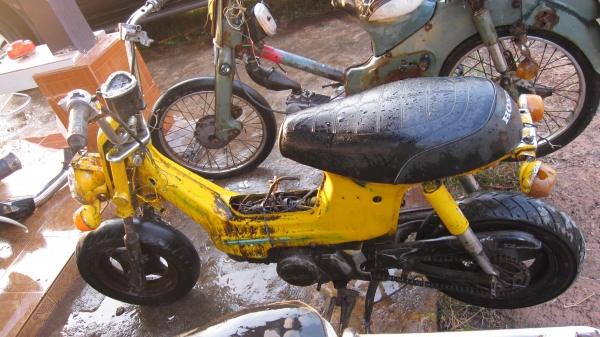 ขายด่วนๆๆครับชี50...มาใหม่2คันคันล่ะ6700บาท...ชาลี1คันราคา8500บาทขายตามสภาพครับเครื่องไม่ติดเล่มไม่มีครับช้าอดหมดก่อนนะครับด่วนๆครับของเริ่มหายากแล้วครับสนใจติดต่อ0801696651ราคายังไม่รวมส่งนะครับค่าส่ง1000บาทส่งทั่วไทยครับ