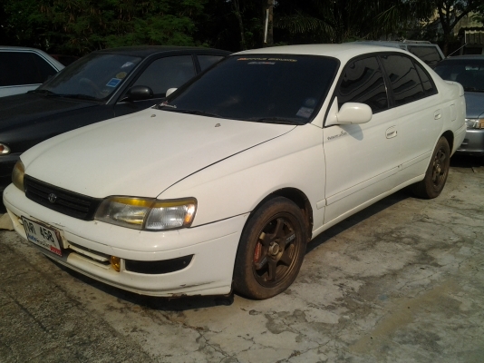 corona ท้ายโด่งถูกสุดคุ้ม