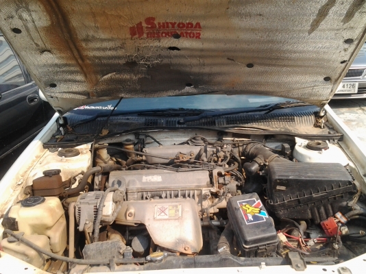 corona ท้ายโด่งถูกสุดคุ้ม