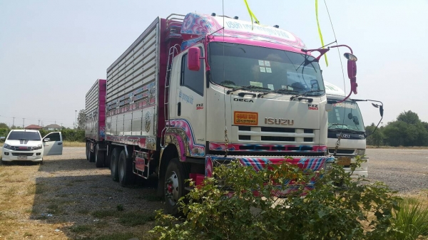 ขายด่วน344ปี56 FM1A Hi-Speedรถสวยเดิมวิ่งน้อย ดั้มพืชไร่ ลูก3เพลายกล้อได้ ขายด่วน344ปี56 FM1A Hi-Speedรถสวยเดิมวิ่งน้อย ดั้มพืชไร่ ลูก3เพลายกล้อได้