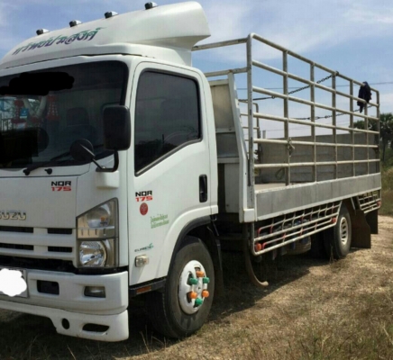 หกล้อ อีซูชุ NQR175ปี55ช่วงยาว5.50ม กะบะเรสทั้งลูก รถสภาพดีสวยจัดใช้งานน้อยวิ่งไม่ถึง แสน.กม.เอกสารทะเบียนพร้อมโอน ราคา 855,000บ รถสภาพดีเดิมๆสวย น่าใช้