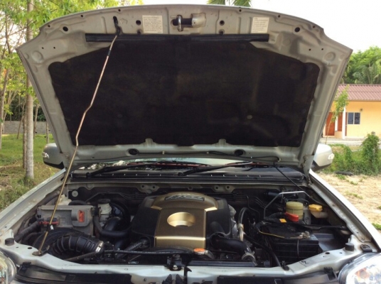 ดีแมกซ์ ไฮแลนเดอร์