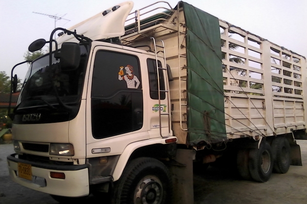 ขายร๊อคจัมโบ้200หัวเด๊กก้าเครื่อง6BG1-175แรงกระบะรถล่องไม่ดั้มรถสวยพร้อมใช้ ขายร๊อคจัมโบ้200หัวเด๊กก้าเครื่อง6BG1-175แรงกระบะรถล่องไม่ดั้มรถสวยพร้อมใช้