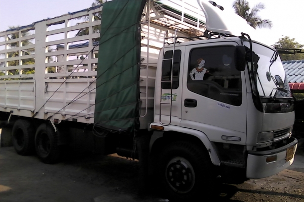 ขายร๊อคจัมโบ้200หัวเด๊กก้าเครื่อง6BG1-175แรงกระบะรถล่องไม่ดั้มรถสวยพร้อมใช้