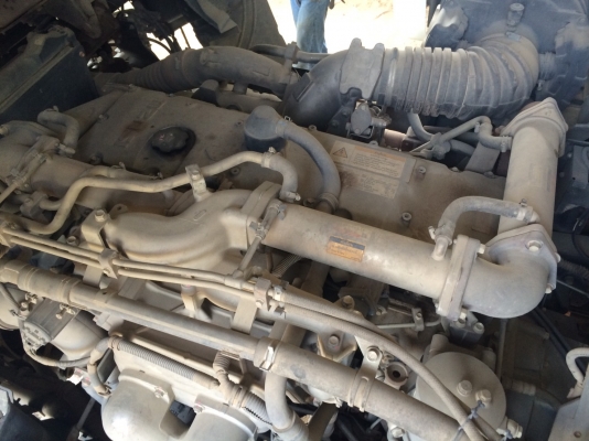 ขาย 360 ปี 53. ดั้ม เกษตร แม่ลูก.รถอยู่. ภาคเหนือ ขาย 360 ปี 53. ดั้ม เกษตร แม่ลูก.รถอยู่. ภาคเหนือ