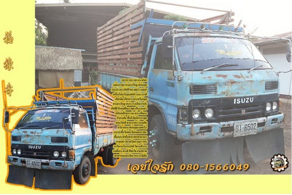 **145,000 บ. ต่อรอง/// 6ล้อ ISUZU KS-100แรง ฝาดำ เครื่องใหม่ เกียร์เดิม ช่วงล่างใหญ่ หน้า115 ท้ายF สโลวกลาง ครบ หัวเก๋งดี สีไม่สวย พ.พาวเวอร์ คัสซีเก็บงานแล้ว แข็งแรง ดี กระบะพื้นไม้คอกเกษตร 4.30ม. ยางหน้า7.50/16 หลัง 8.25/16 สภาพ65-70\% ตามสภาพ พร้อมลุย เ