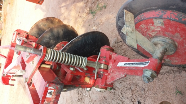 หางสามใบ24cmt หางสามใบ24cmt