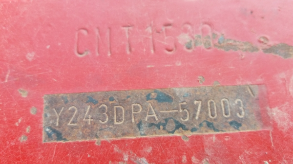 หางสามใบ24cmt หางสามใบ24cmt