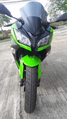 Ninja 300
