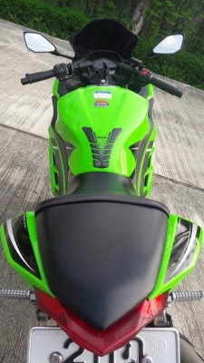 Ninja 300