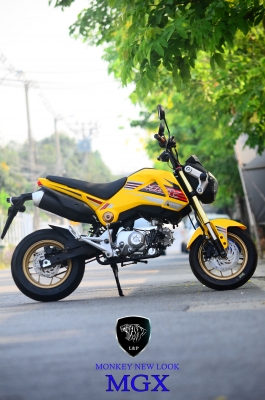 #จัดโปโมชั่นใหม่ลดราคาสุดๆ.รถต้นแบบ MGX มังกี้ กอลิล่า แต่ง มี100 แบบให้เลือก ราคาเริ่มต้น.......